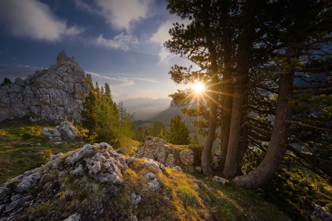 Dolomiti Nikon School Workshop Paesaggio Notturna Via Lattea Startrail 00005
