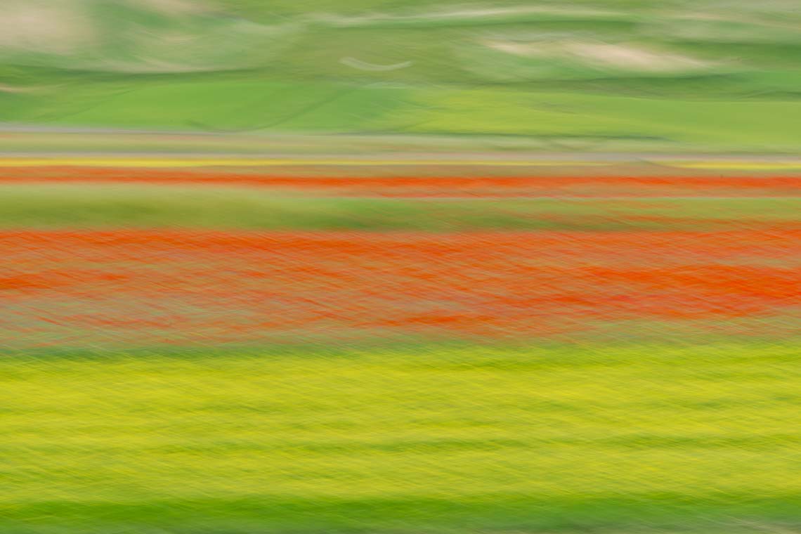 Castelluccio Fioritura Nikon School Workshop Paesaggio Notturna Via Lattea Startrail 00004