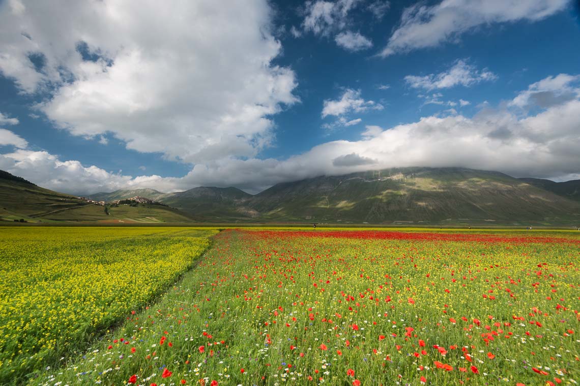 Castelluccio Fioritura Nikon School Workshop Paesaggio Notturna Via Lattea Startrail 00005