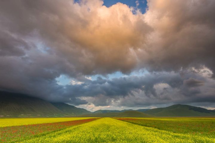 Castelluccio Fioritura Nikon School Workshop Paesaggio Notturna Via Lattea Startrail 00006