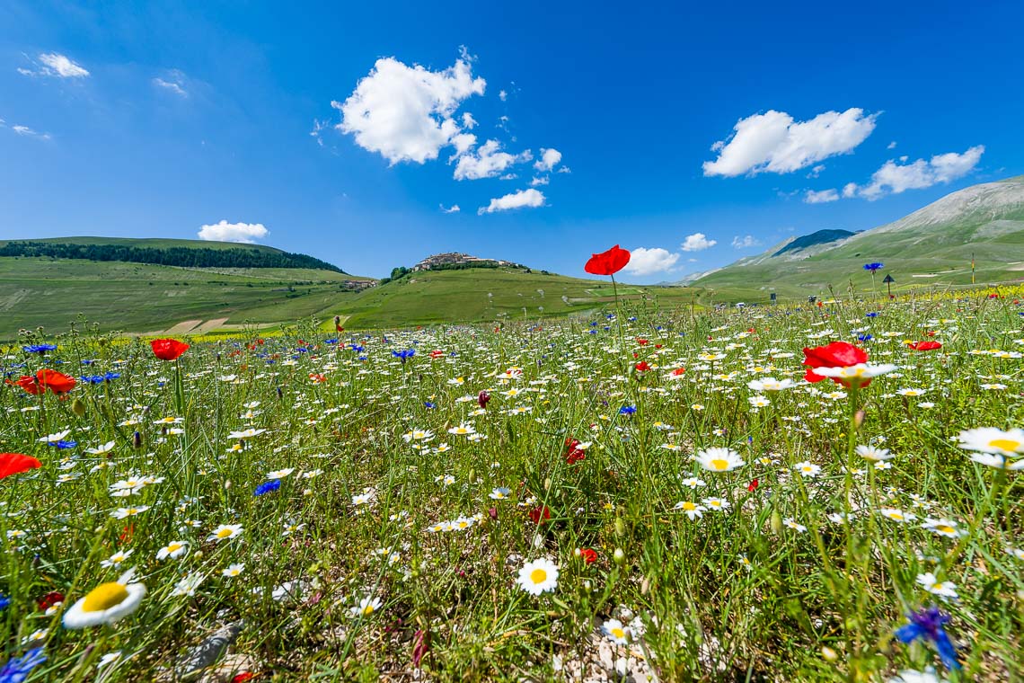 Castelluccio Fioritura Nikon School Workshop Paesaggio Notturna Via Lattea Startrail 00009
