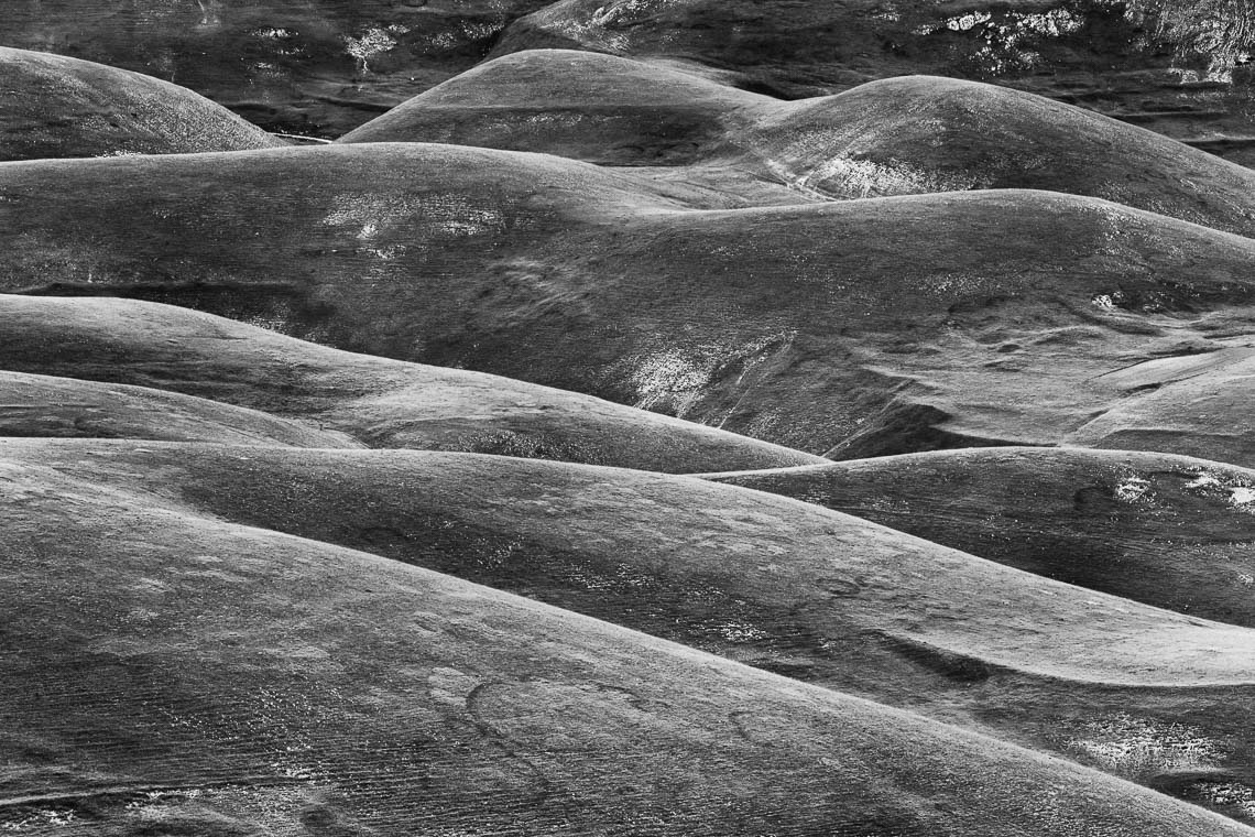 Castelluccio Fioritura Nikon School Workshop Paesaggio Notturna Via Lattea Startrail 00011