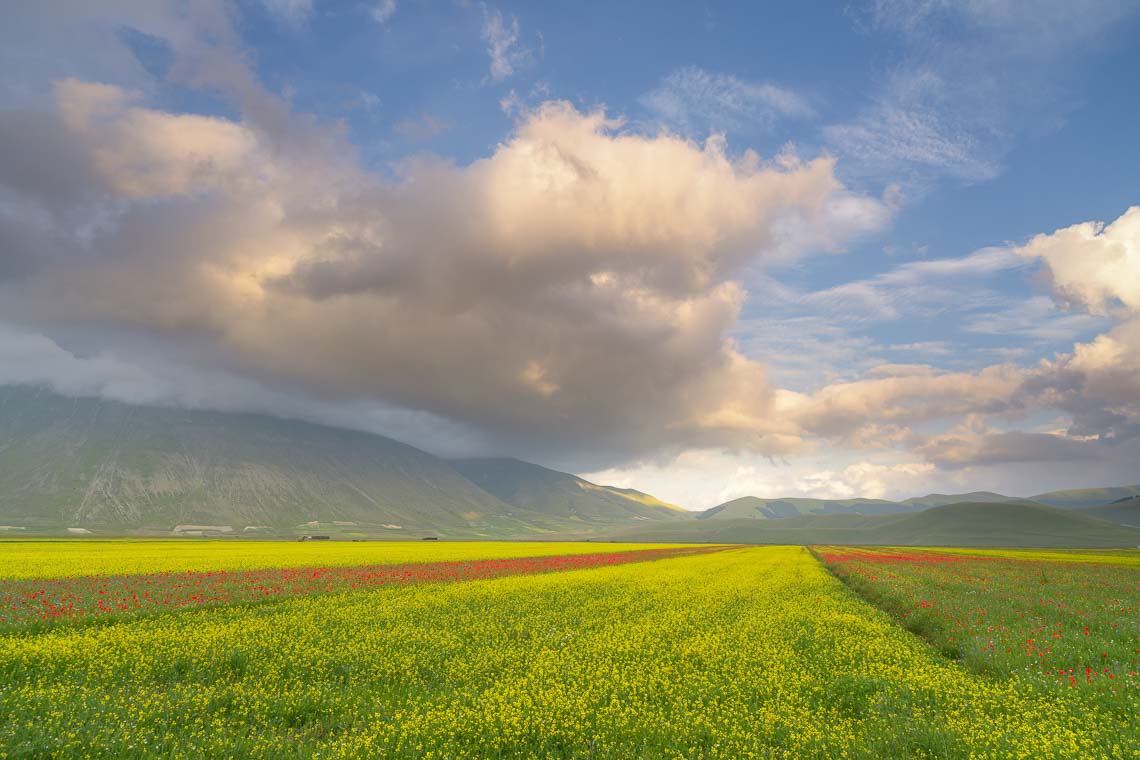 Castelluccio Fioritura Nikon School Workshop Paesaggio Notturna Via Lattea Startrail 00012