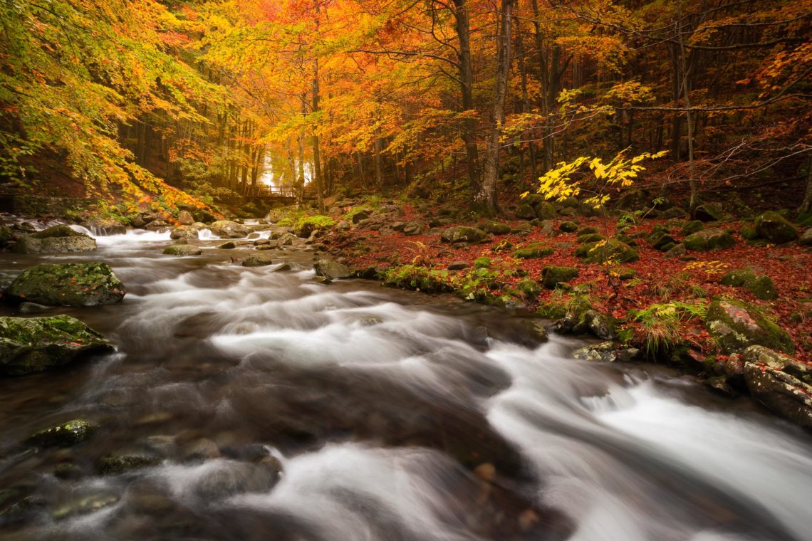 Foliage Autunno Nikon School Workshop Paesaggio Appennino 00023