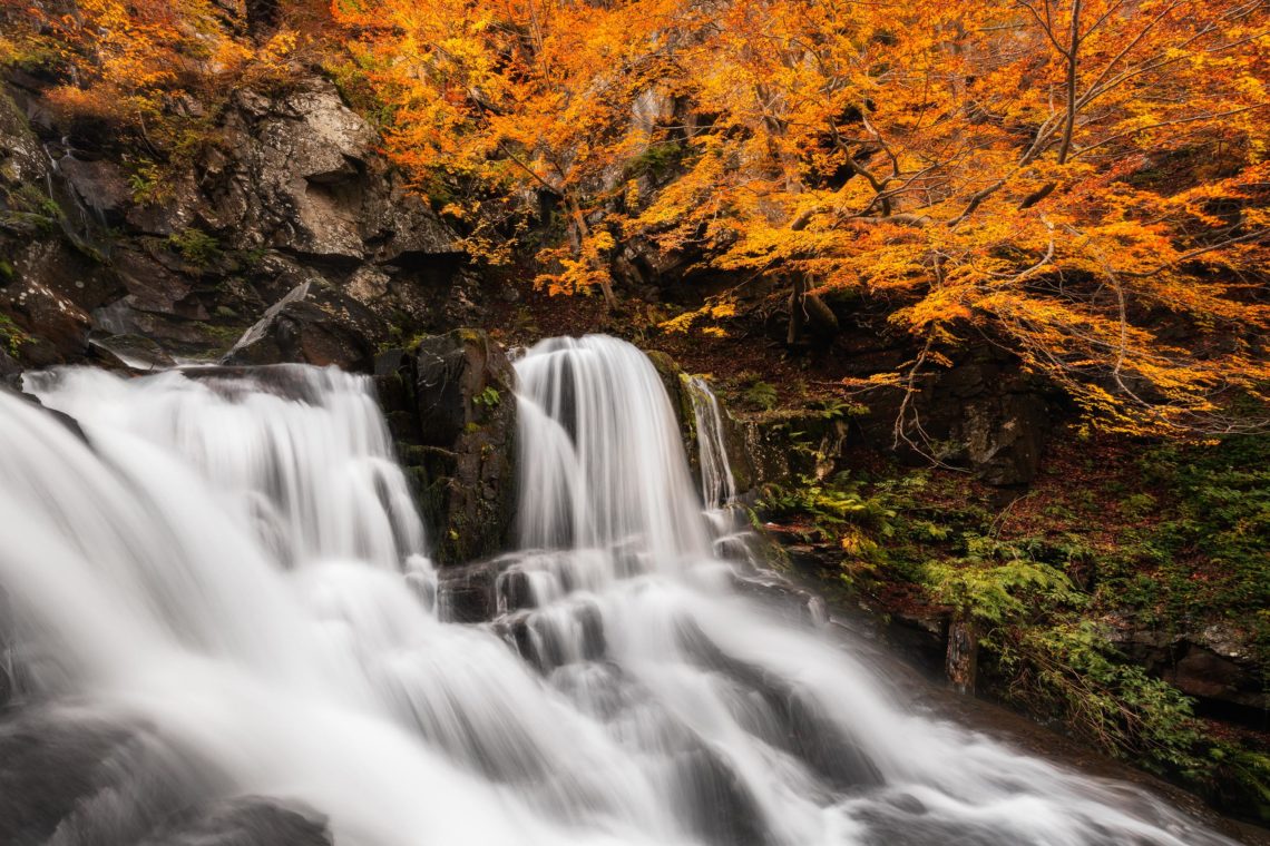 Foliage Autunno Nikon School Workshop Paesaggio Appennino 00024