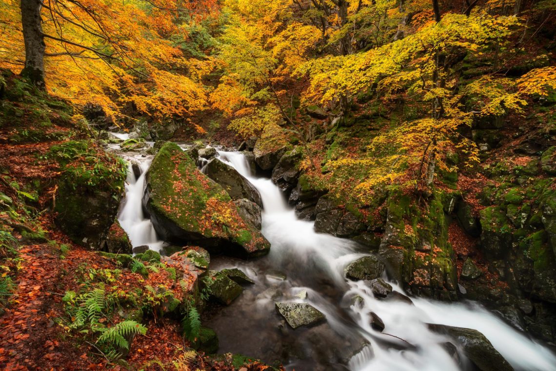 Foliage Autunno Nikon School Workshop Paesaggio Appennino 00025