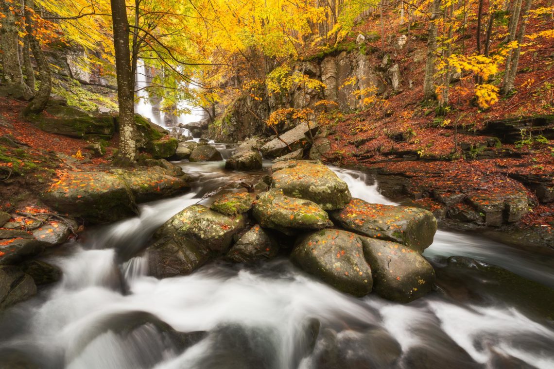 Foliage Autunno Nikon School Workshop Paesaggio Appennino 00026