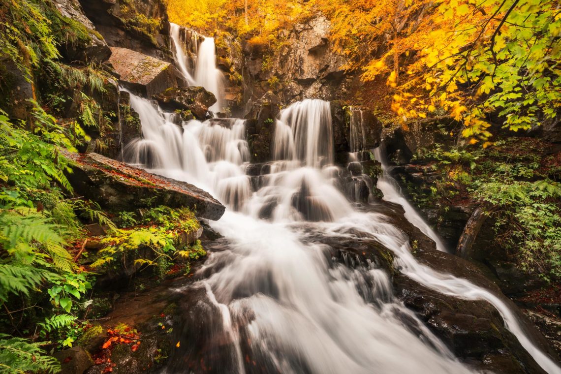 Foliage Autunno Nikon School Workshop Paesaggio Appennino 00027