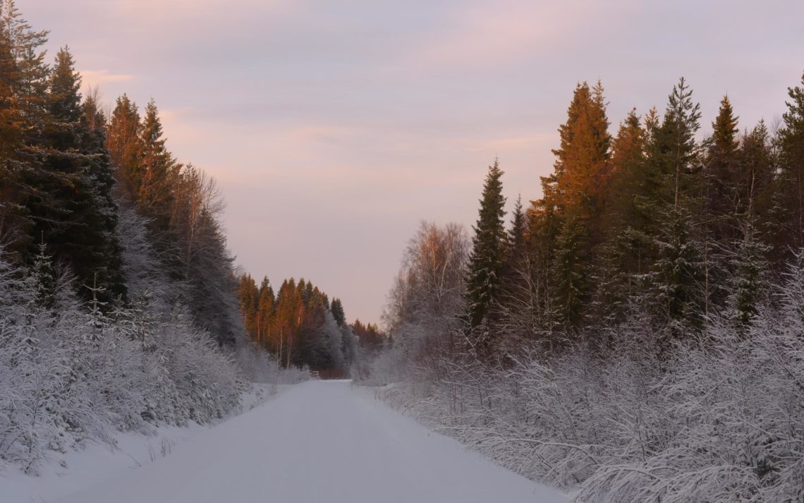 Lapponia Finlandia Svezia Nikon School Viaggio Fotografico Workshop Aurora Boreale Paesaggio Viaggi Fotografici 00032