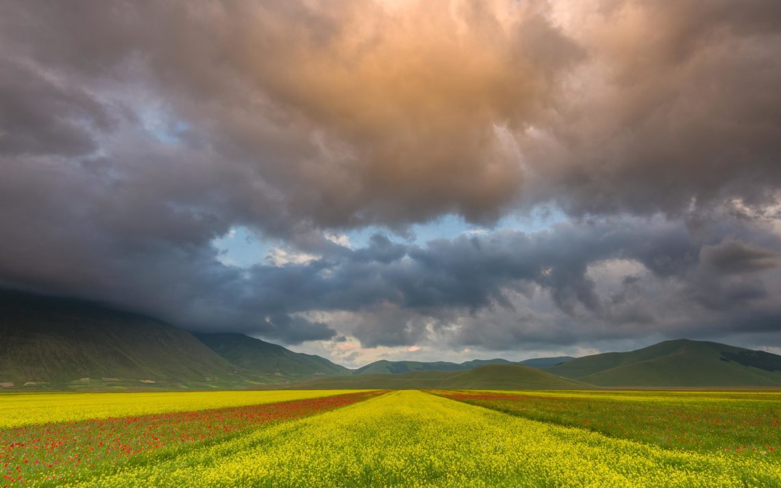 Castelluccio Fioritura Nikon School Workshop Paesaggio Notturna Via Lattea Startrail 00005