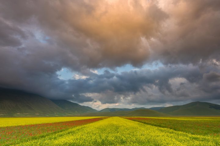 Castelluccio Fioritura Nikon School Workshop Paesaggio Notturna Via Lattea Startrail 00005