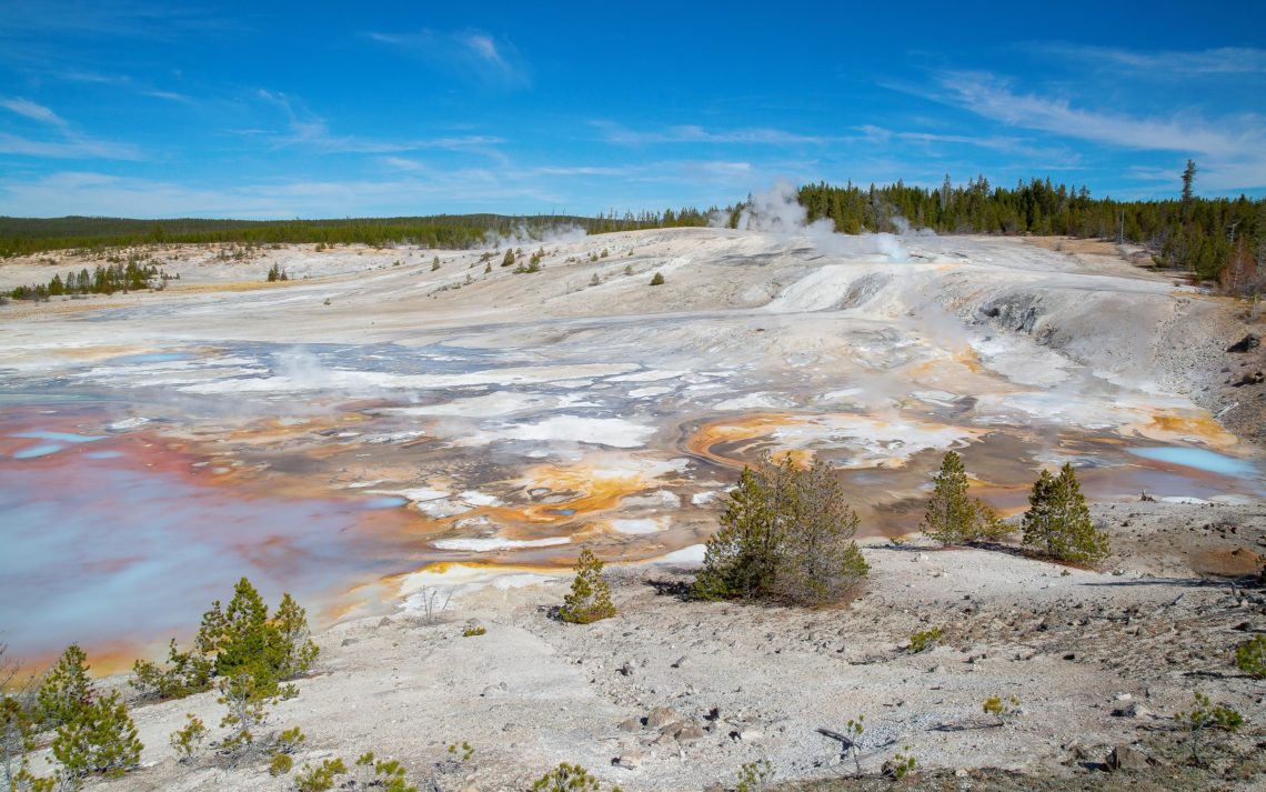 Norris Geyser Basin In The Yellowstone National Park, Usa