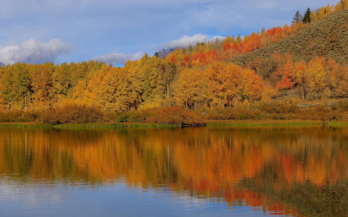 The Scenic Landscape Of Grand Teton National Park In Autumn