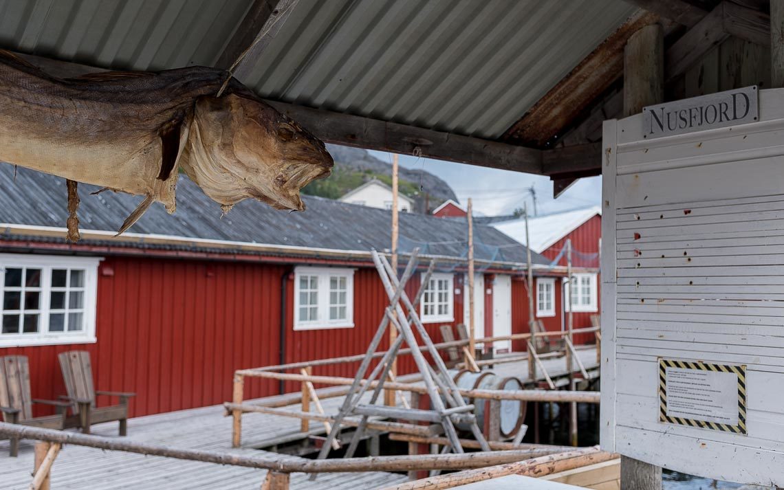 Lofoten Norvegia Nikon School Viaggio Fotografico Workshop Paesaggio Viaggi Fotografici 00012