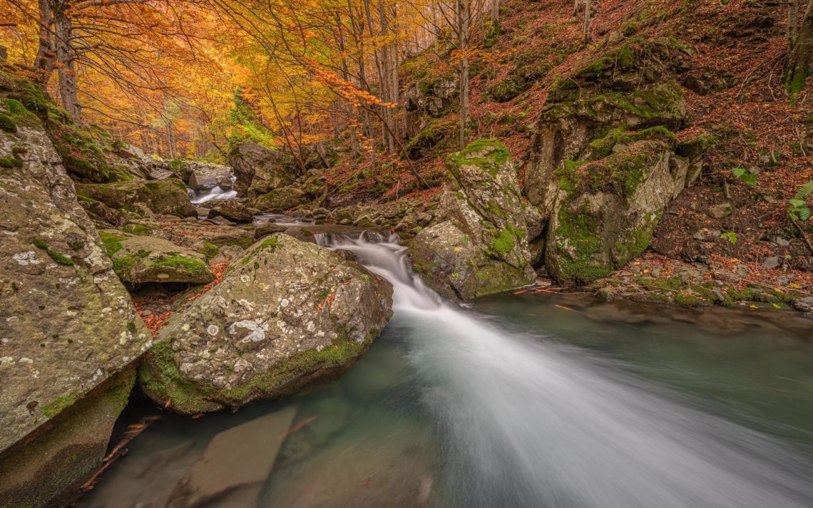 Foliage Autunno Nikon School Workshop Paesaggio Appennino 00016