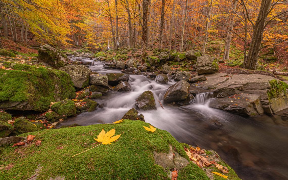 Foliage Autunno Nikon School Workshop Paesaggio Appennino 00018