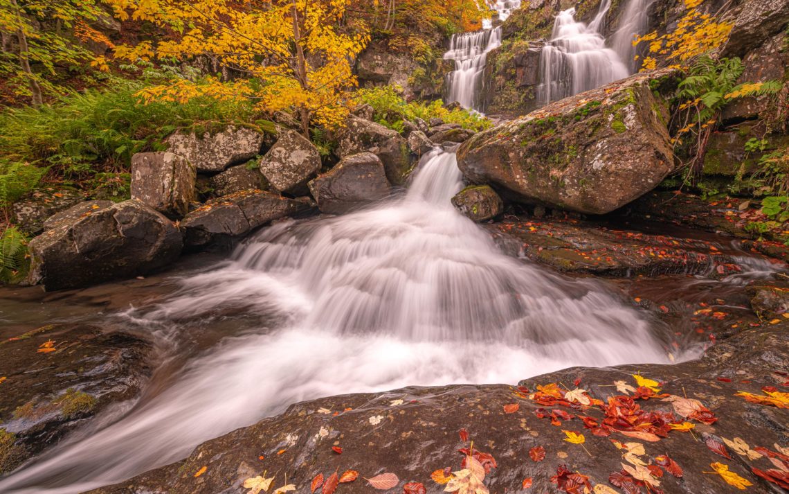 Foliage Autunno Nikon School Workshop Paesaggio Appennino 00020