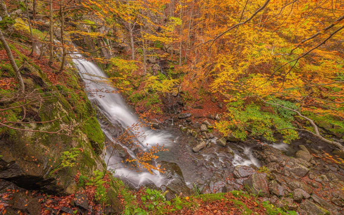 Foliage Autunno Nikon School Workshop Paesaggio Appennino 00022