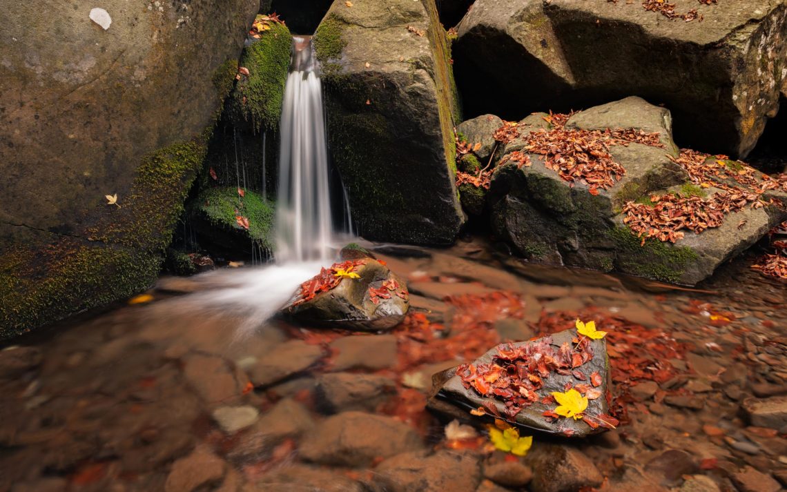 Foliage Autunno Nikon School Workshop Paesaggio Appennino 00010