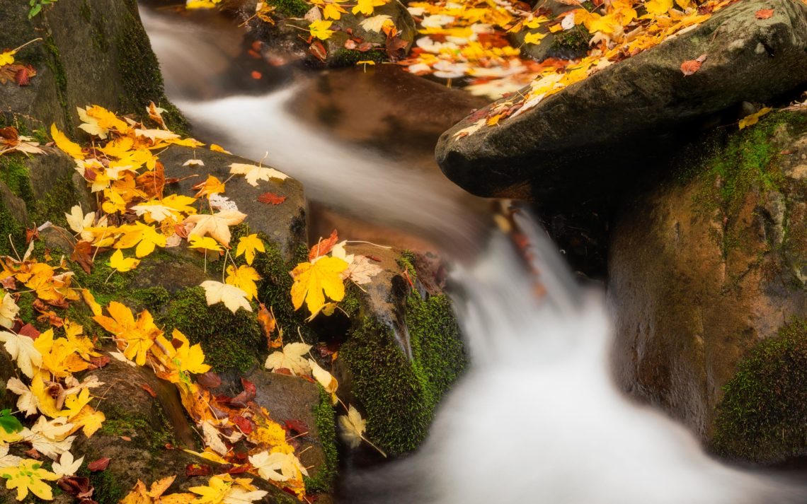 Foliage Autunno Nikon School Workshop Paesaggio Appennino 00011