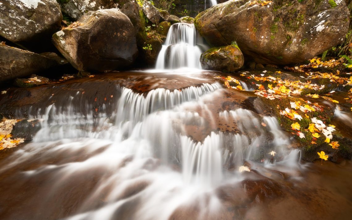 Foliage Autunno Nikon School Workshop Paesaggio Appennino 00012