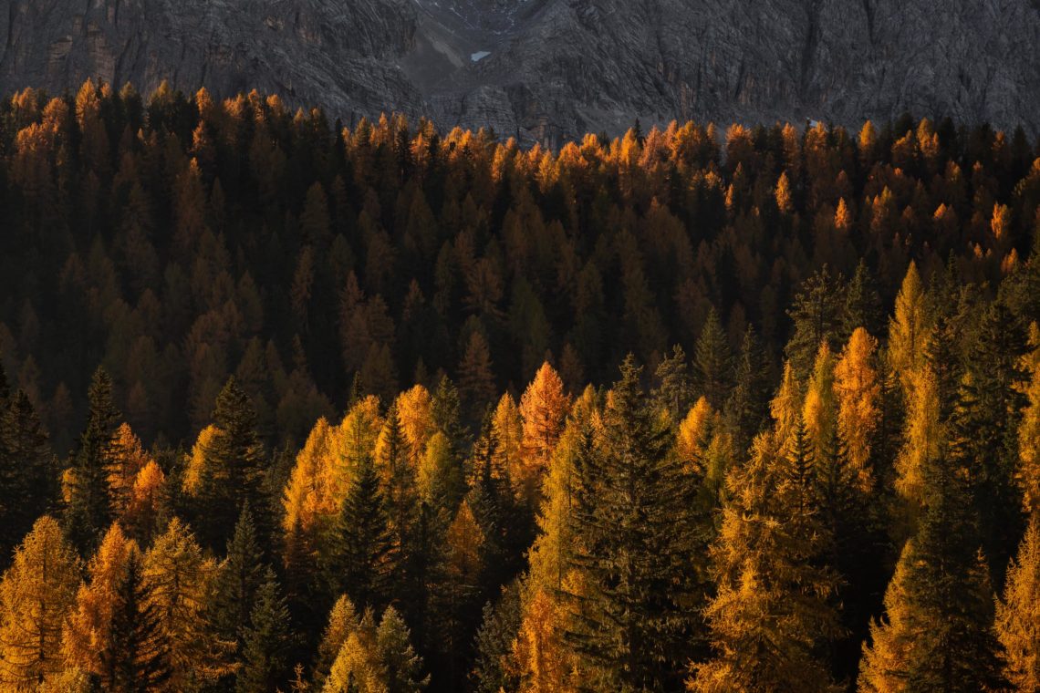 Dolomiti Foliage Autunno Nikon School Workshop Paesaggio Notturna Via Lattea Startrail 00024