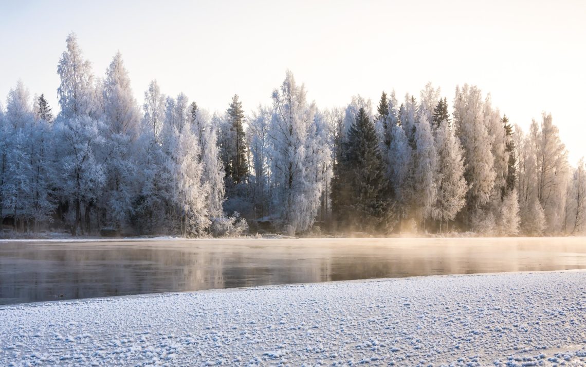 Lapponia Finlandia Svezia Nikon School Viaggio Fotografico Workshop Aurora Boreale Paesaggio Viaggi Fotografici 00018