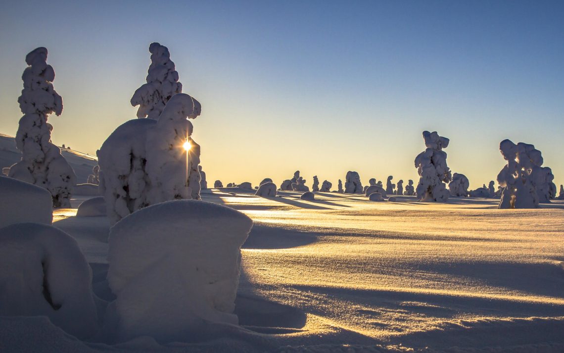 Lapponia Finlandia Svezia Nikon School Viaggio Fotografico Workshop Aurora Boreale Paesaggio Viaggi Fotografici 00022