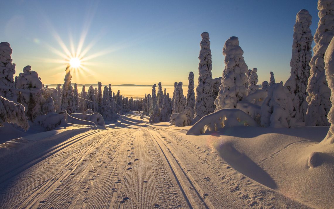 Lapponia Finlandia Svezia Nikon School Viaggio Fotografico Workshop Aurora Boreale Paesaggio Viaggi Fotografici 00023