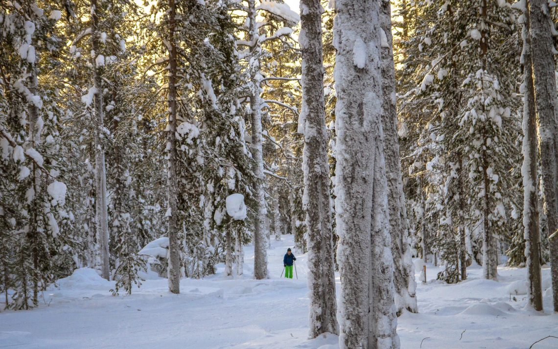 Lapponia Finlandia Svezia Nikon School Viaggio Fotografico Workshop Aurora Boreale Paesaggio Viaggi Fotografici 00025