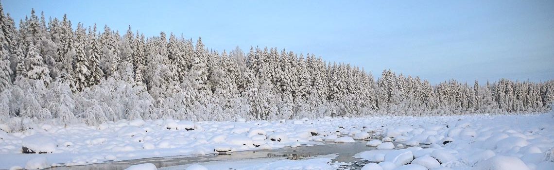 Lapponia Finlandia Svezia Nikon School Viaggio Fotografico Workshop Aurora Boreale Paesaggio Viaggi Fotografici 00027