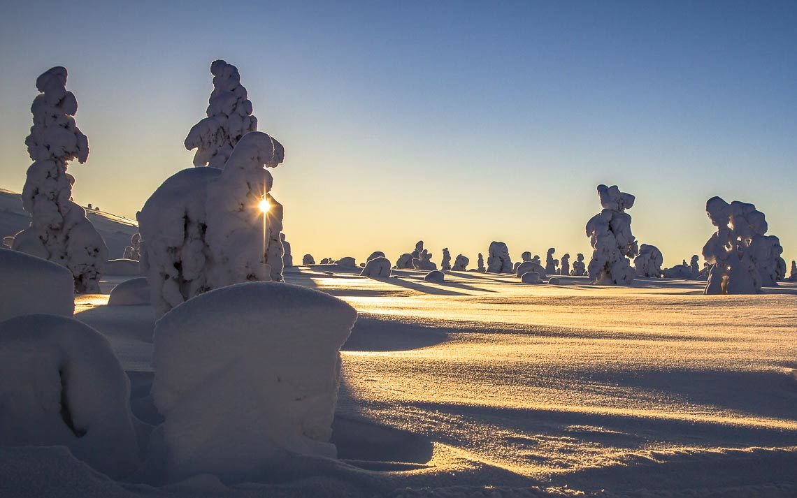 Lapponia Finlandia Svezia Nikon School Viaggio Fotografico Workshop Aurora Boreale Paesaggio Viaggi Fotografici 00040