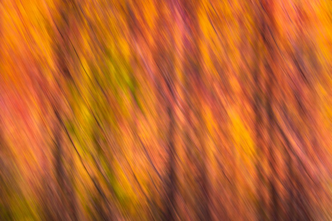 Workshop Foliage Autunno Nikon School Appennino Cascate Dardagna 00005