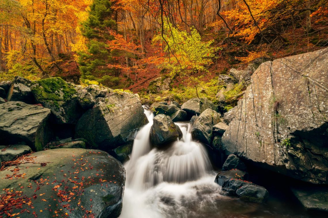 Workshop Foliage Autunno Nikon School Appennino Cascate Dardagna 00007