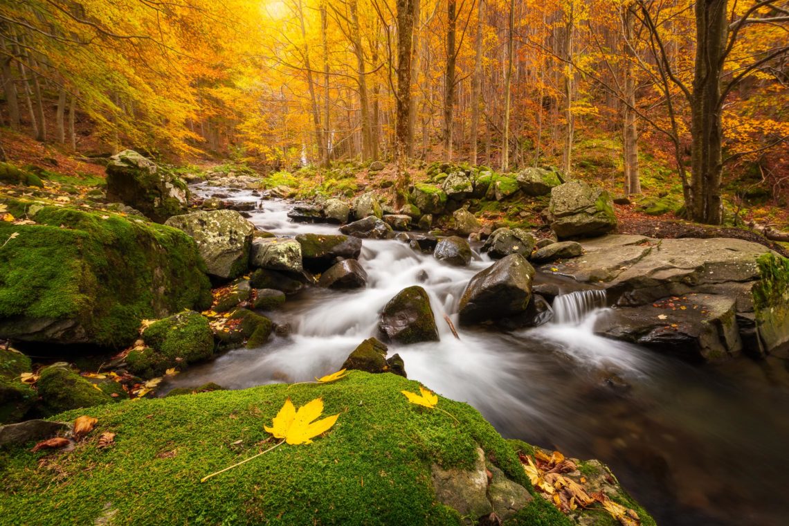 Workshop Foliage Autunno Nikon School Appennino Cascate Dardagna 00008