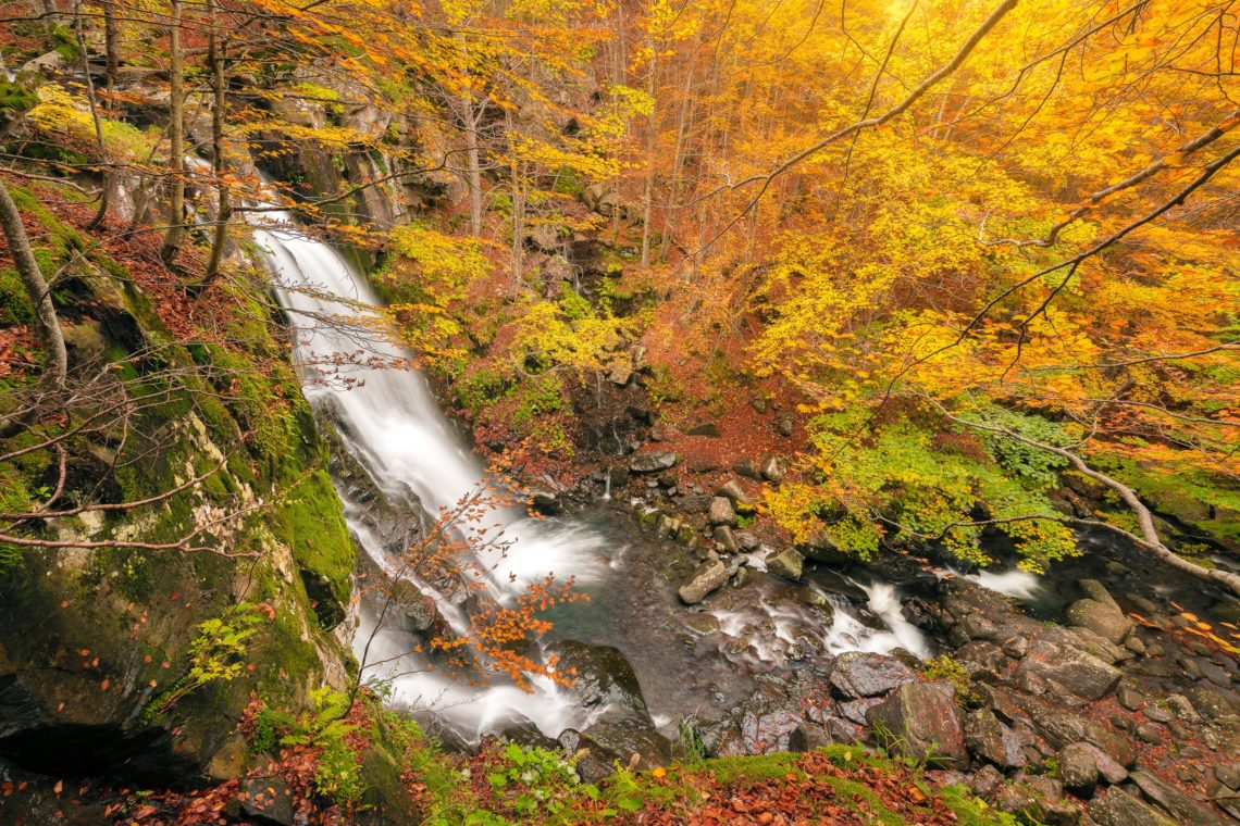 Workshop Foliage Autunno Nikon School Appennino Cascate Dardagna 00019