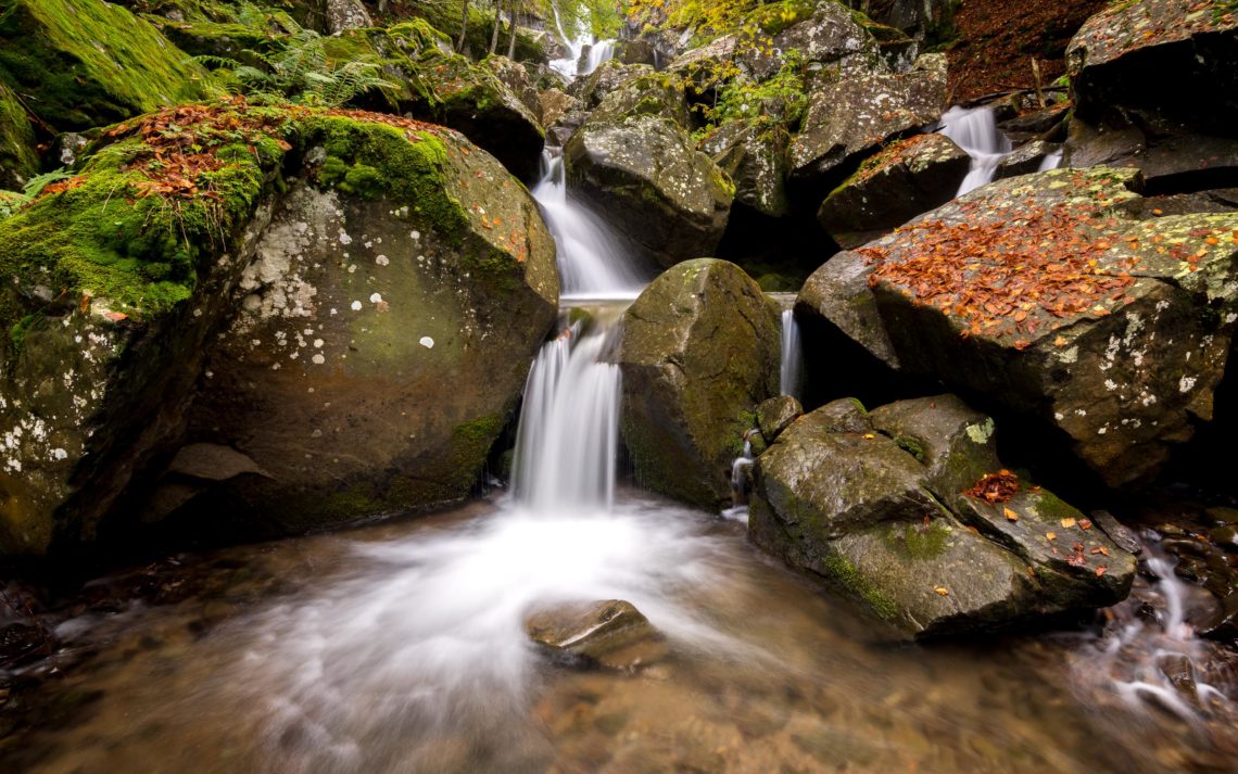 Foliage Autunno Nikon School Workshop Paesaggio Appennino 00009