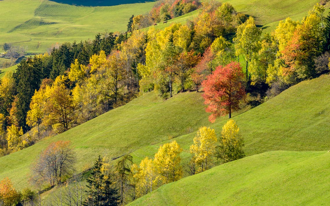 dolomiti foliage autunno nikon school workshop paesaggio notturna via lattea startrail 00003