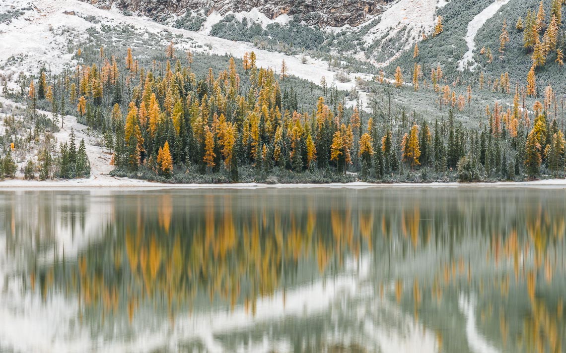 dolomiti foliage autunno nikon school workshop paesaggio notturna via lattea startrail 00025