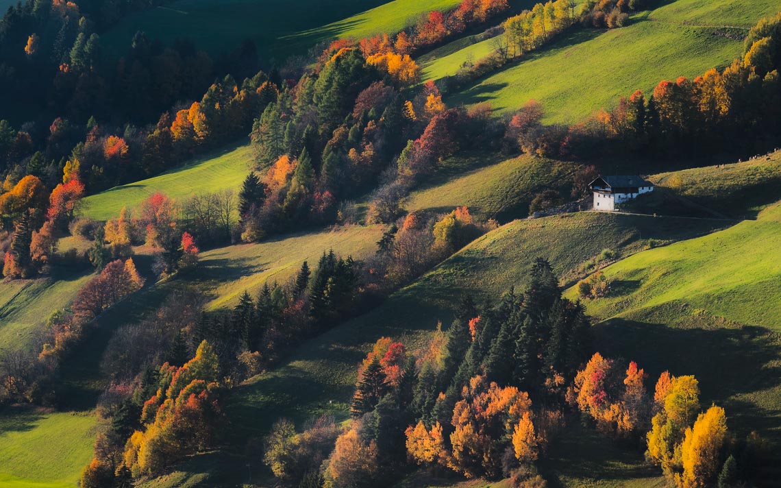 dolomiti foliage autunno nikon school workshop paesaggio notturna via lattea startrail 00030