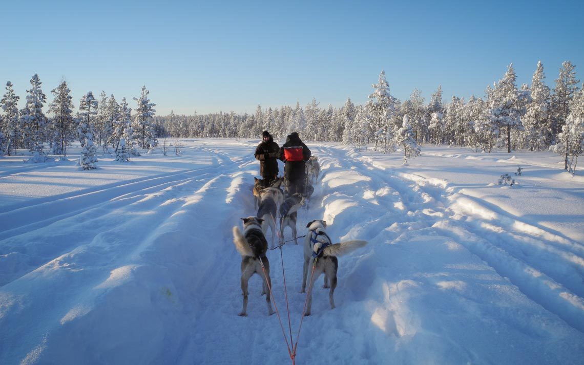 Lapponia Finlandia Svezia Nikon School Viaggio Fotografico Workshop Aurora Boreale Paesaggio Viaggi Fotografici 00014