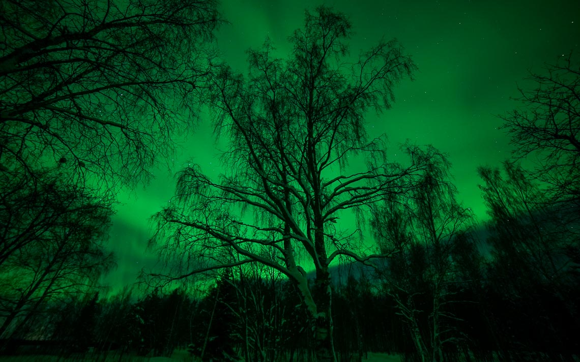 Lapponia Finlandia Svezia Nikon School Viaggio Fotografico Workshop Aurora Boreale Paesaggio Viaggi Fotografici 00011