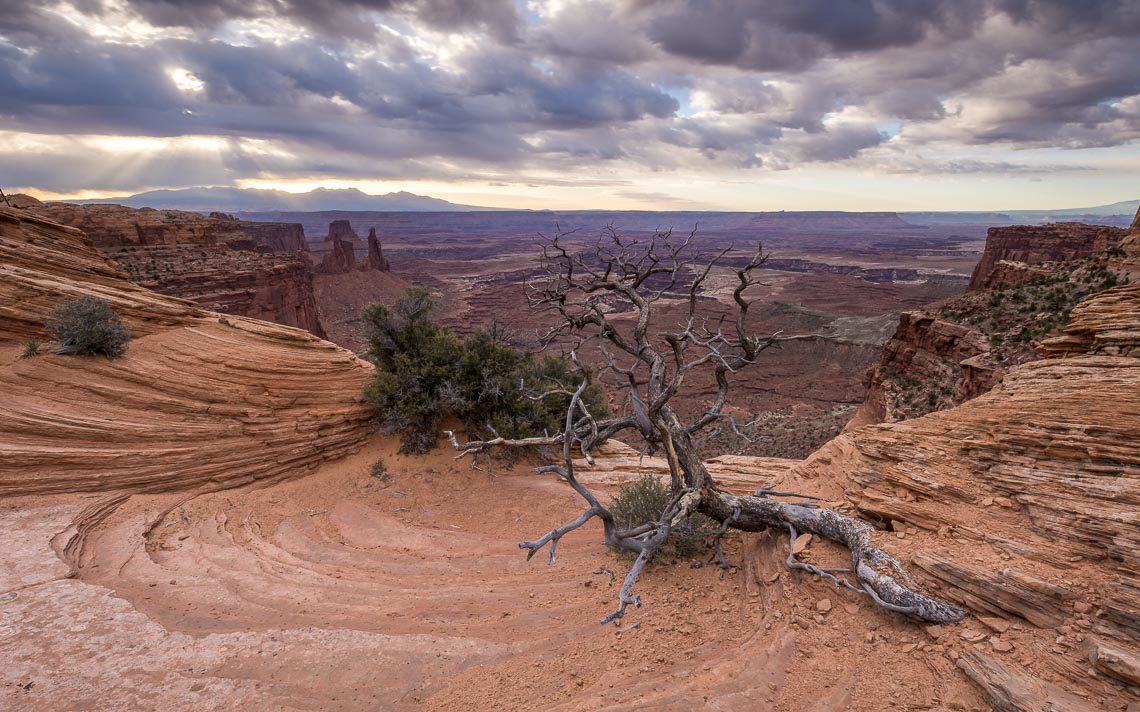 Usa Stati Uniti America Nikon School Viaggio Fotografico Workshop Parchi Ovest 00058