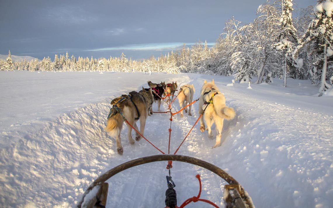 Lapponia Finlandia Svezia Nikon School Viaggio Fotografico Workshop Aurora Boreale Paesaggio Viaggi Fotografici 00034