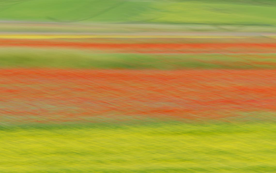 Castelluccio Fioritura Nikon School Workshop Paesaggio Notturna Via Lattea Startrail 00003