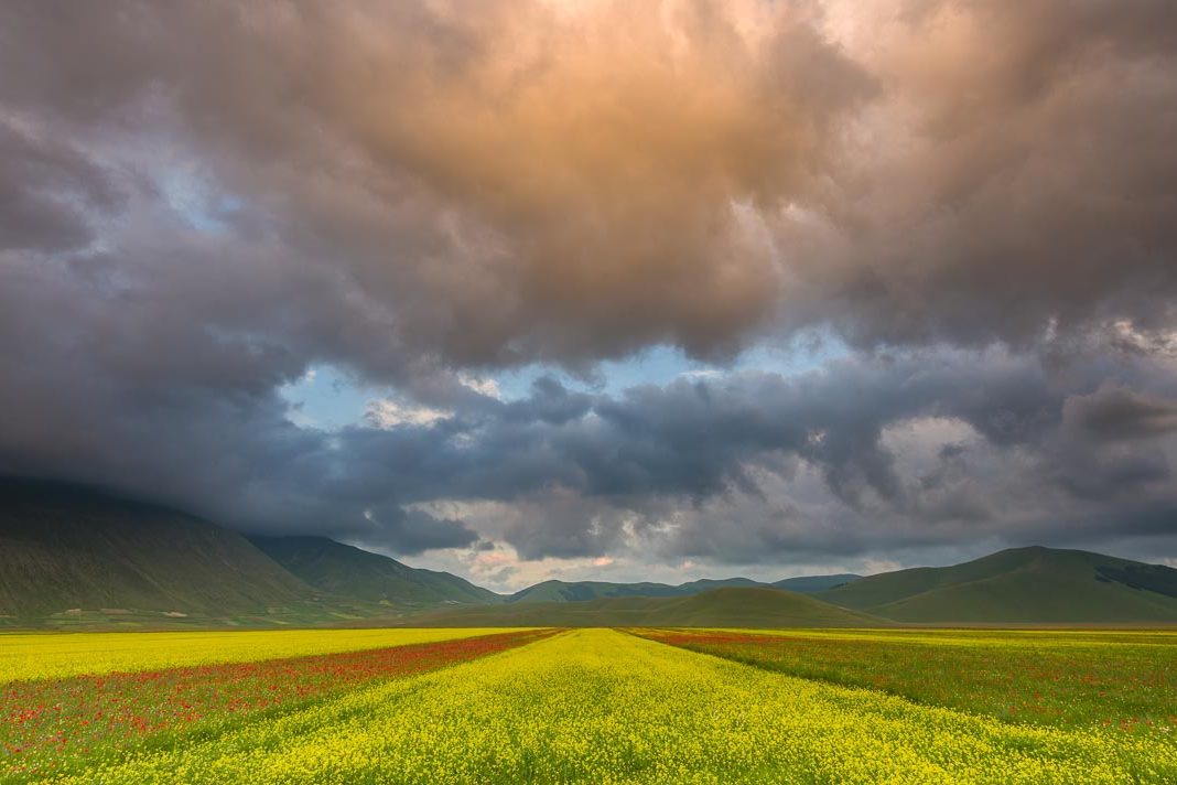 Castelluccio Fioritura Nikon School Workshop Paesaggio Notturna Via Lattea Startrail 00005