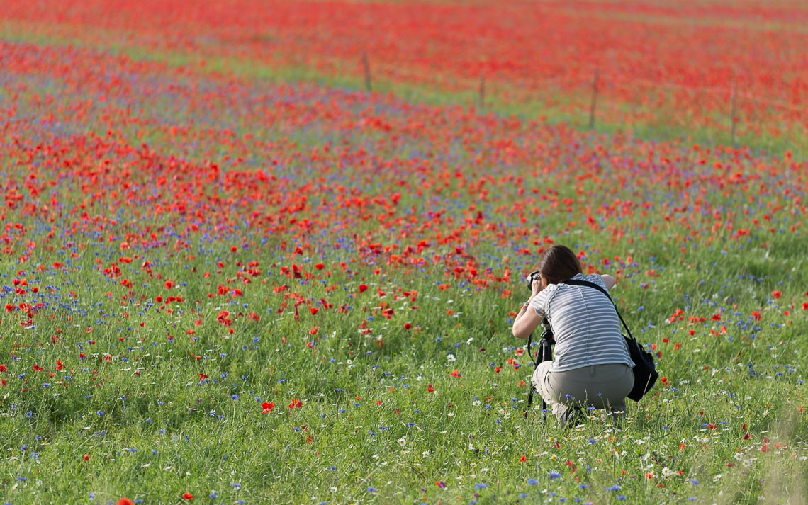 Castelluccio Fioritura Nikon School Workshop Paesaggio Notturna Via Lattea Startrail 00006