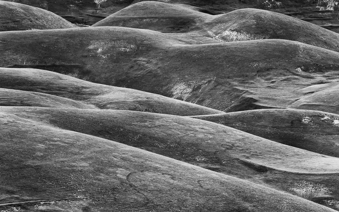 Castelluccio Fioritura Nikon School Workshop Paesaggio Notturna Via Lattea Startrail 00007