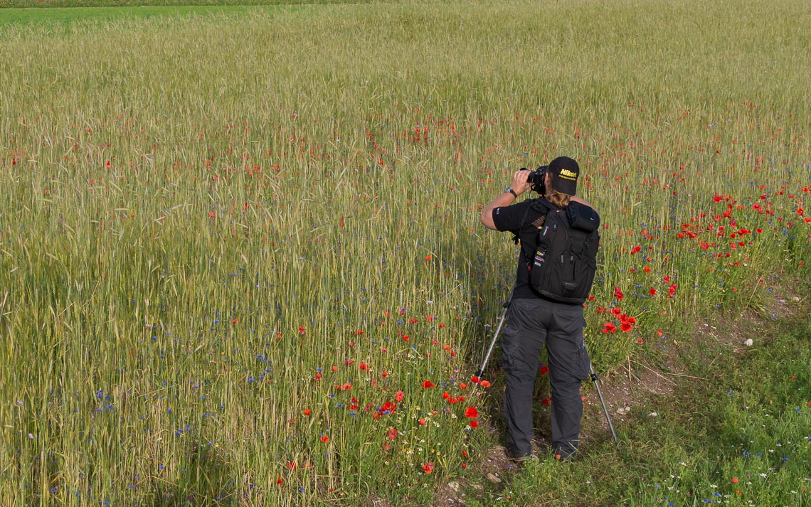 Castelluccio Fioritura Nikon School Workshop Paesaggio Notturna Via Lattea Startrail 00007