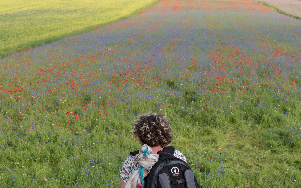 Castelluccio Fioritura Nikon School Workshop Paesaggio Notturna Via Lattea Startrail 00008